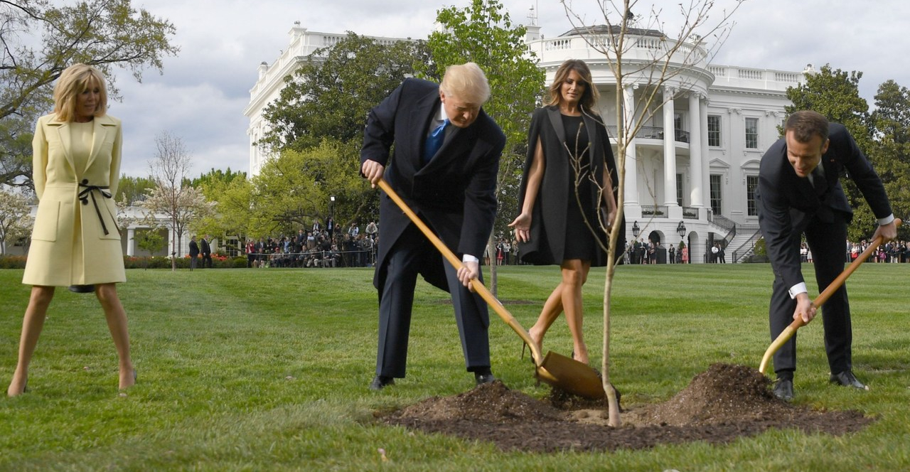 Trumps and Macrons plant a tree